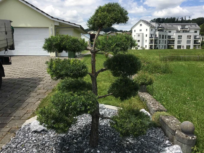 Gartenpflege und Abo Winterthur